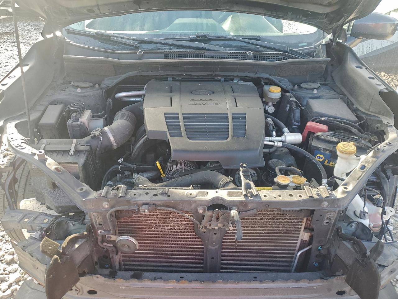 2020 Subaru Forester Premium VIN: JF2SKAJCXLH540447 Lot: 92595295