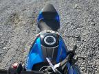2024 SUZUKI GSX800 F   for sale at Copart KY - WALTON