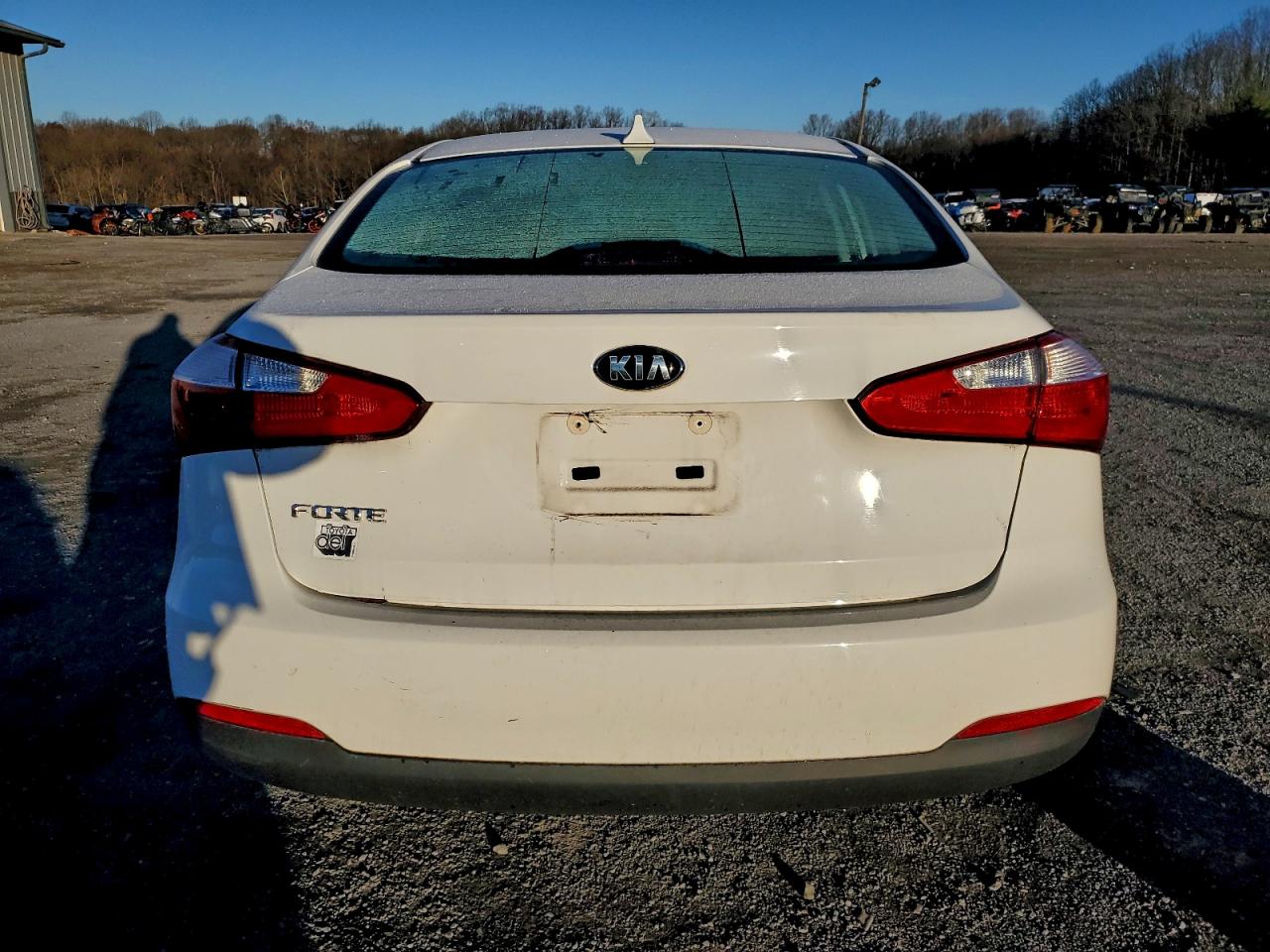 2016 Kia Forte Lx VIN: KNAFK4A63G5445793 Lot: 93744545