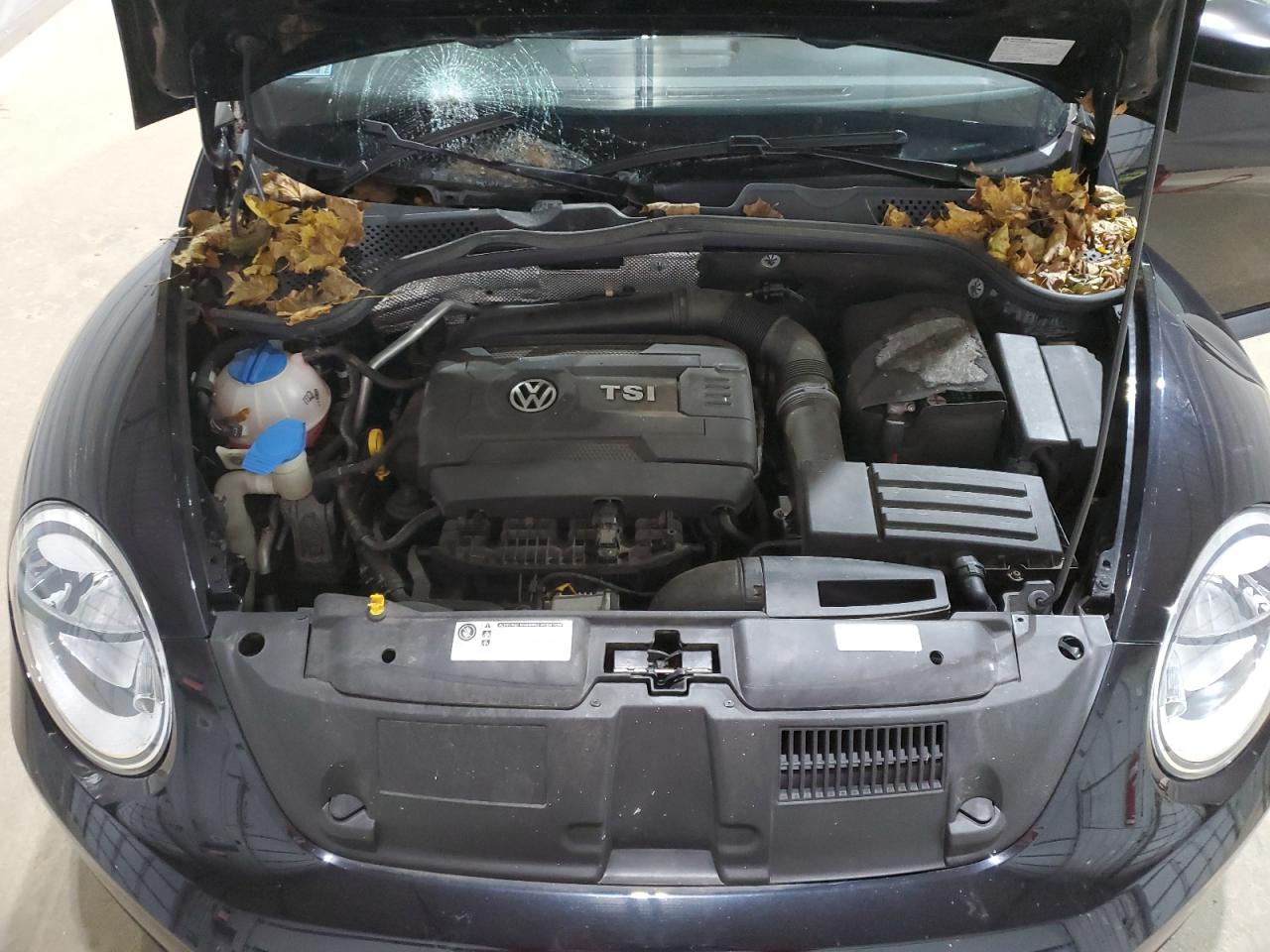 2017 Volkswagen Beetle 1.8T VIN: 3VWF17AT2HM610545 Lot: 91686135