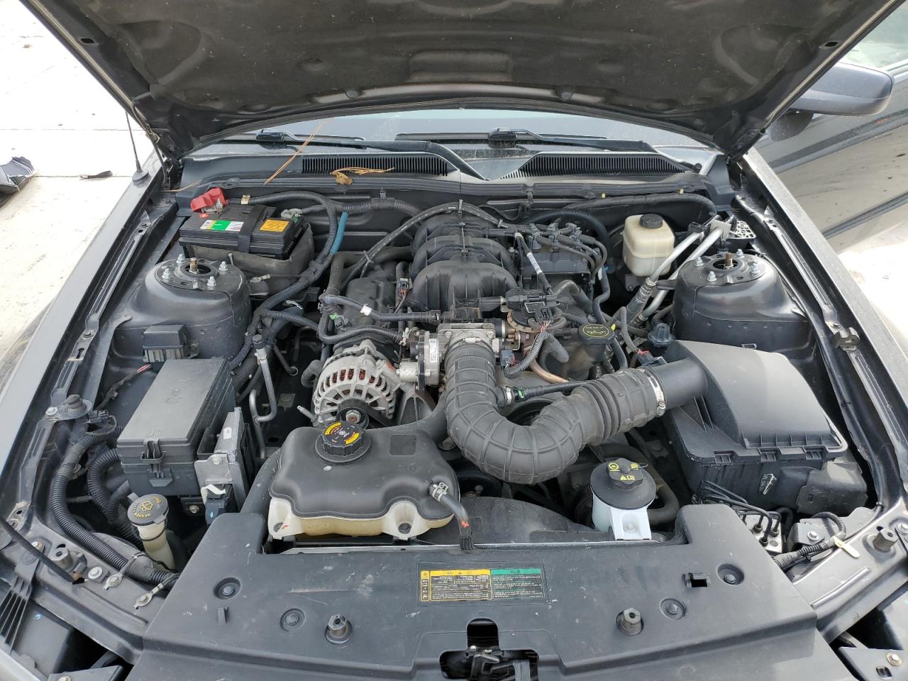 2008 Ford Mustang VIN: 1ZVHT80N085149590 Lot: 92692355