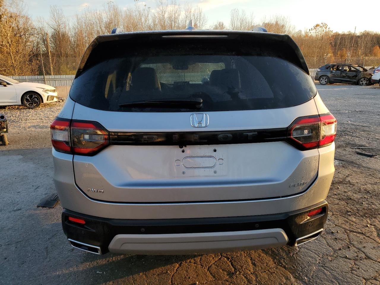 2025 Honda Pilot Elite VIN: 5FNYG1H8XSB047281 Lot: 92107075