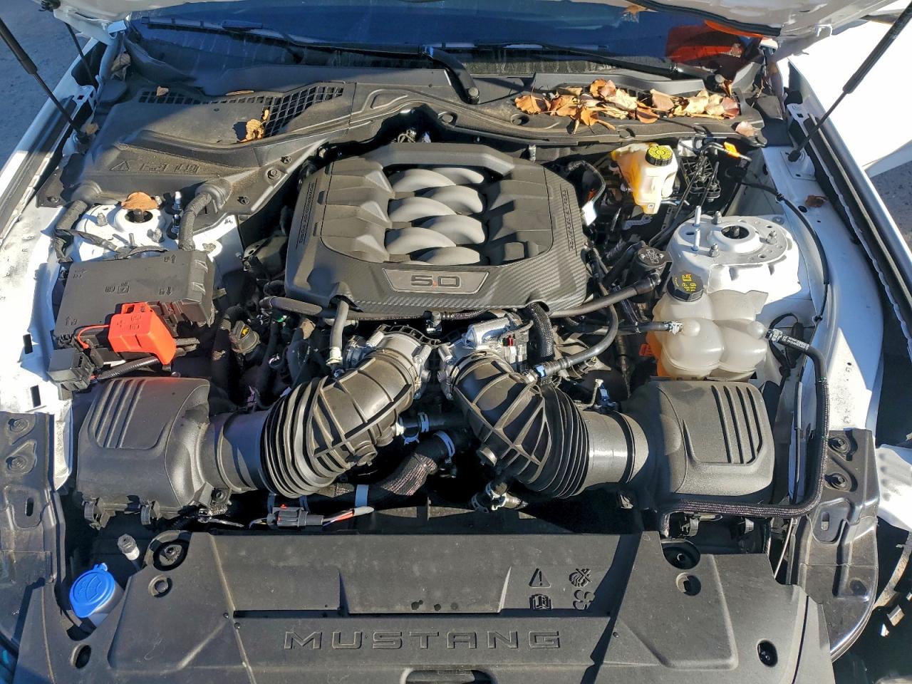 2025 Ford Mustang Gt VIN: 1FA6P8CF8S5401831 Lot: 93843285