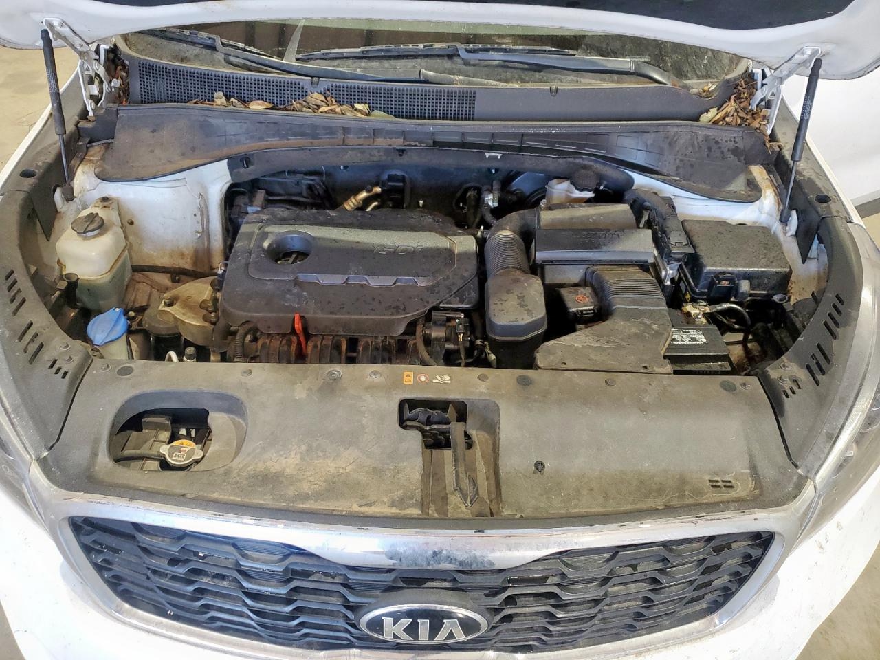 2020 Kia Sorento L VIN: 5XYPG4A31LG676031 Lot: 92239445