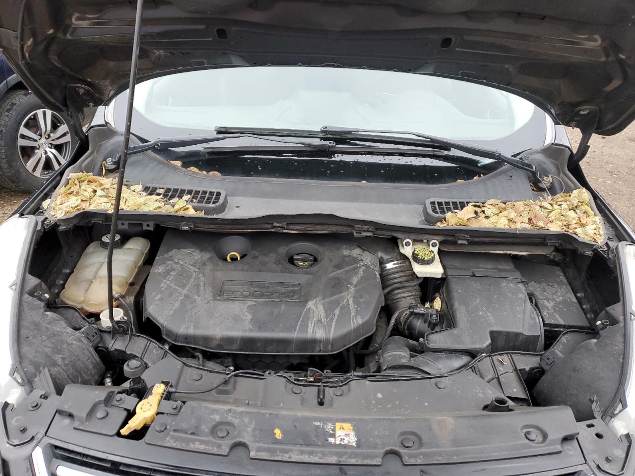 2013 Ford Escape Titanium VIN: 1FMCU9J92DUB13364 Lot: 93338185