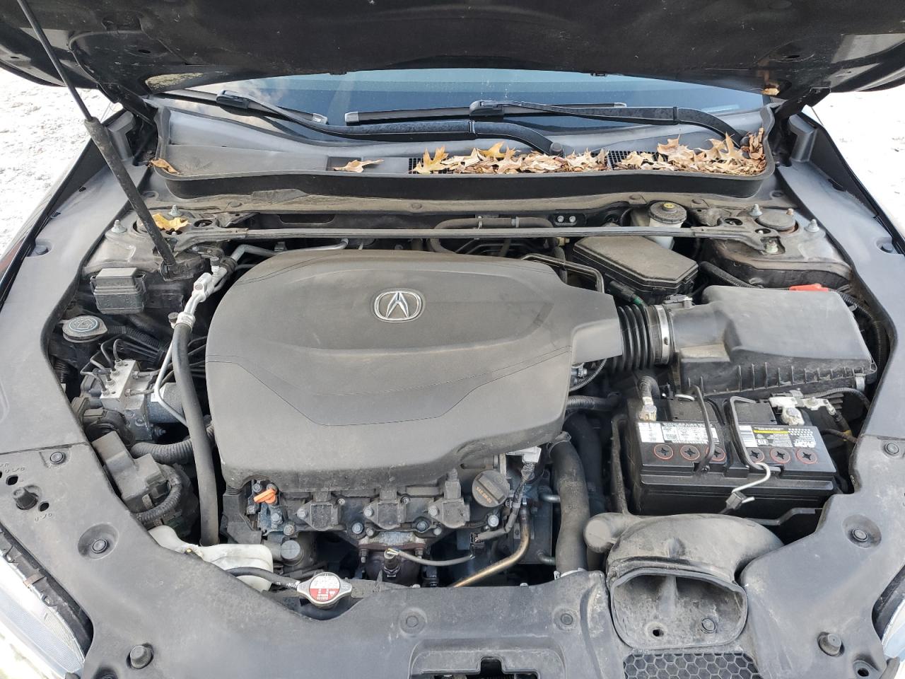 2015 Acura Tlx VIN: 19UUB2F3XFA023301 Lot: 93030685