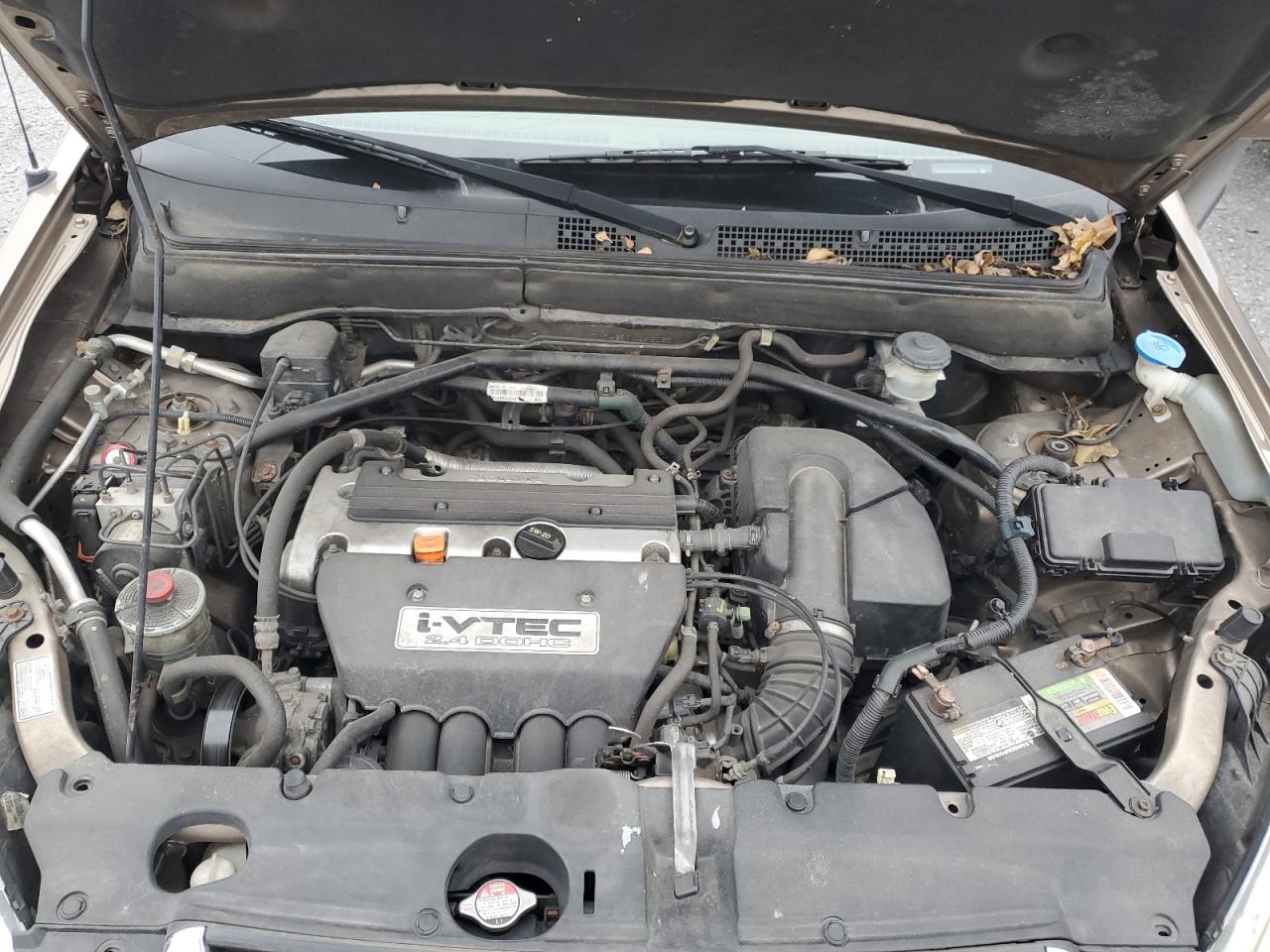 2004 Honda Cr-V Ex VIN: SHSRD78874U243562 Lot: 92181665