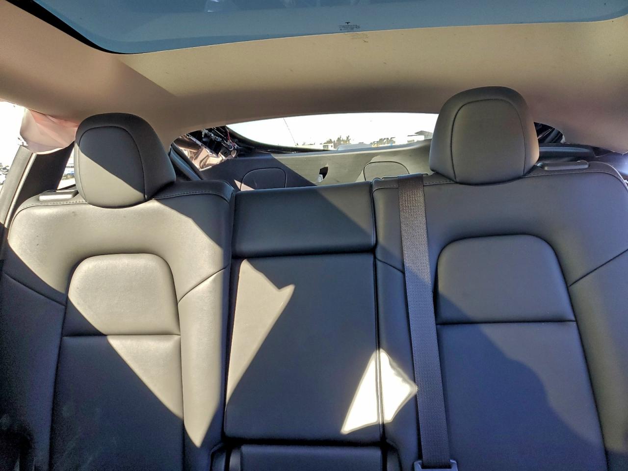 2025 Tesla Model Y VIN: 7SAYGDED1SF316063 Lot: 94386245