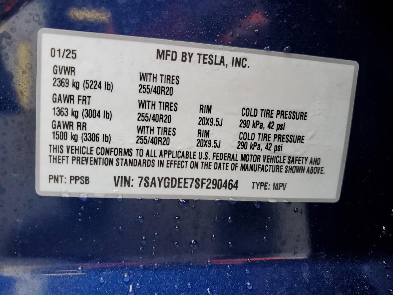 2025 Tesla Model Y VIN: 7SAYGDEE7SF290464 Lot: 93016905