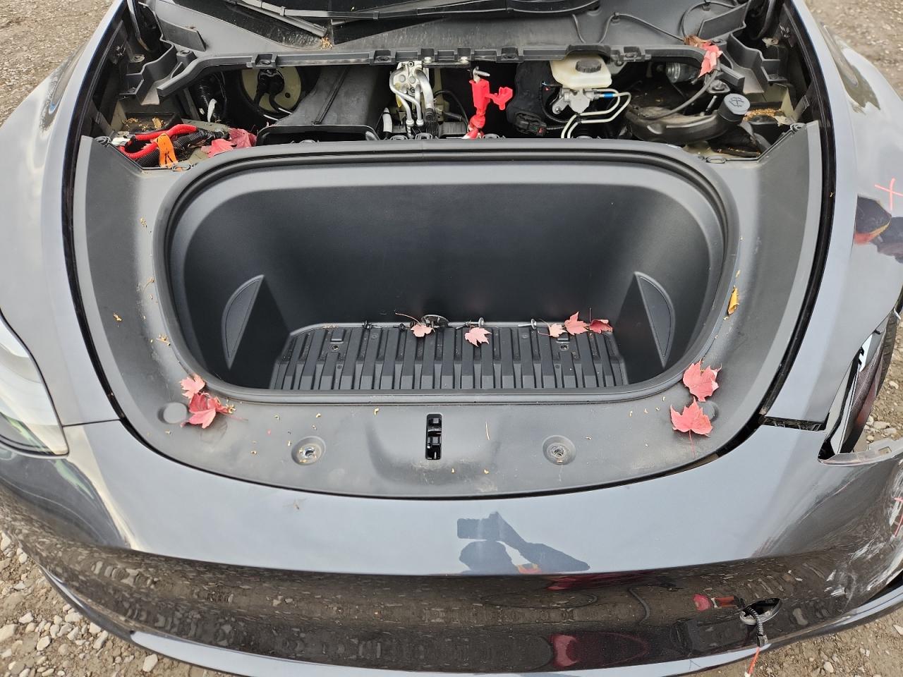 2024 Tesla Model Y VIN: 7SAYGDEEXRF157918 Lot: 92882345