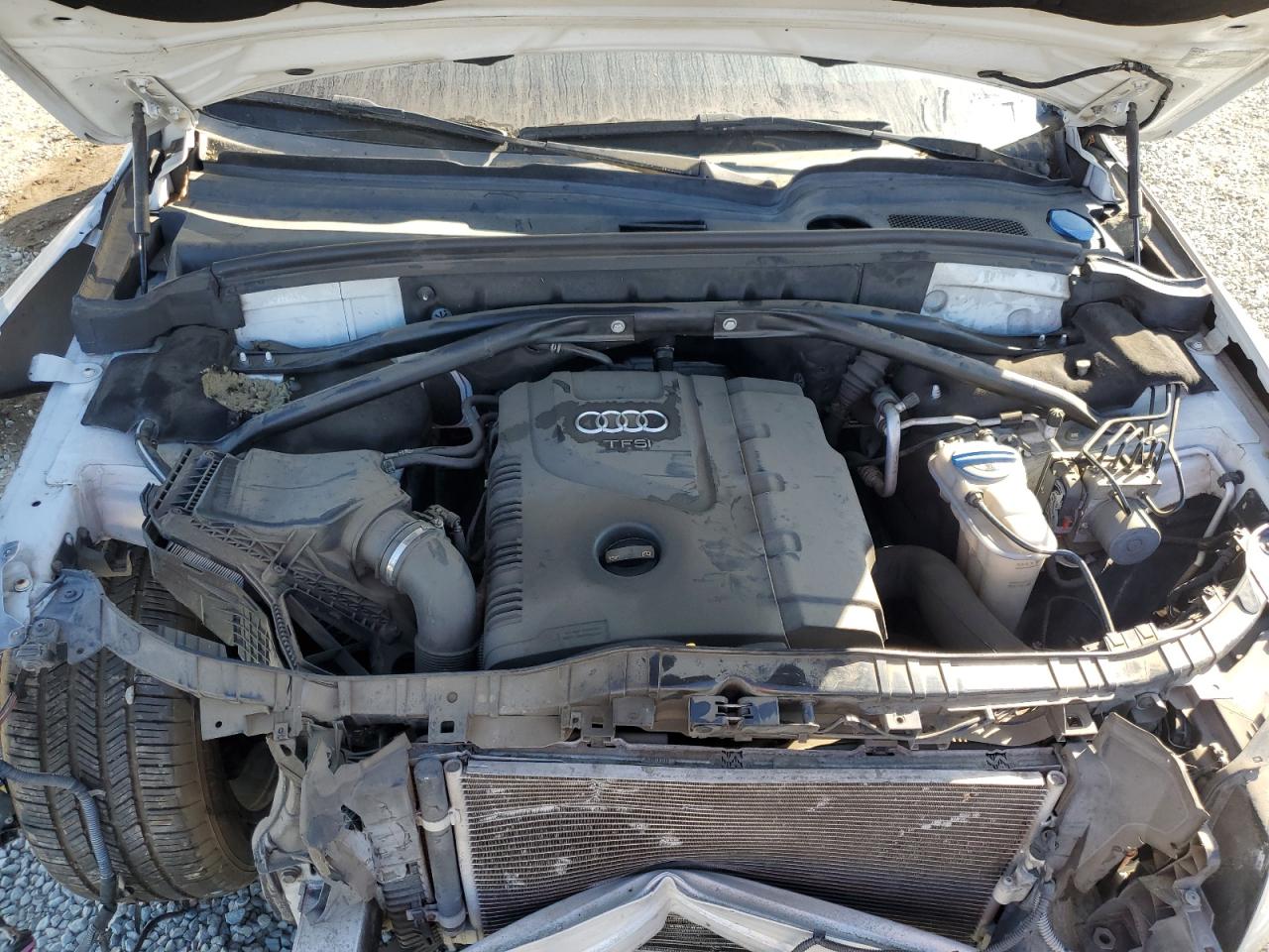 2014 Audi Q5 Premium Plus VIN: WA1LFAFP8EA110585 Lot: 91864305