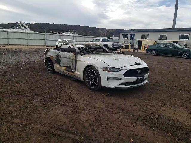 2020 Ford Mustang VIN: 1FATP8UH2L5134299 Lot: 81432593