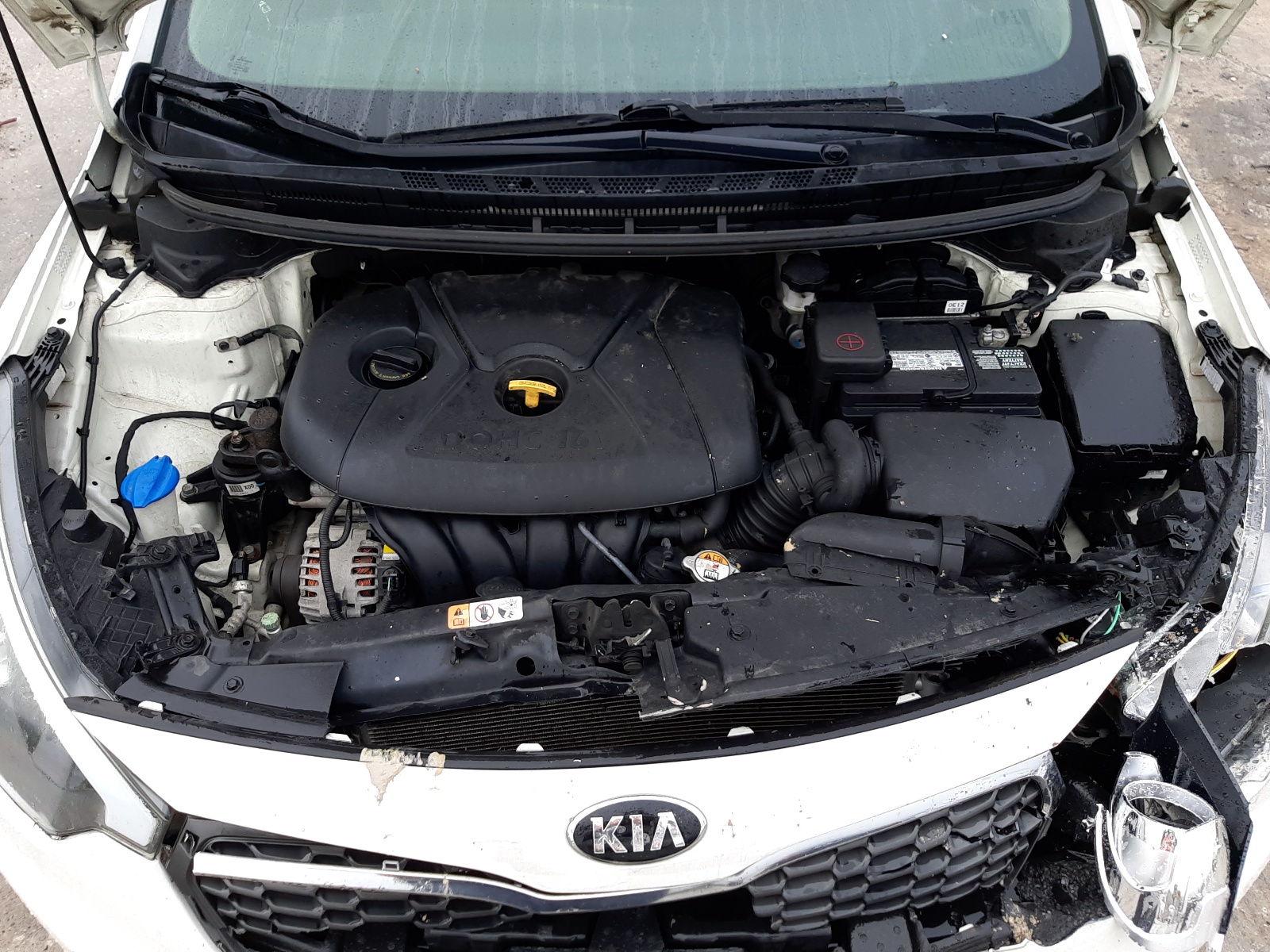 KNAFX4A65F5378999 2015 Kia Forte Lx