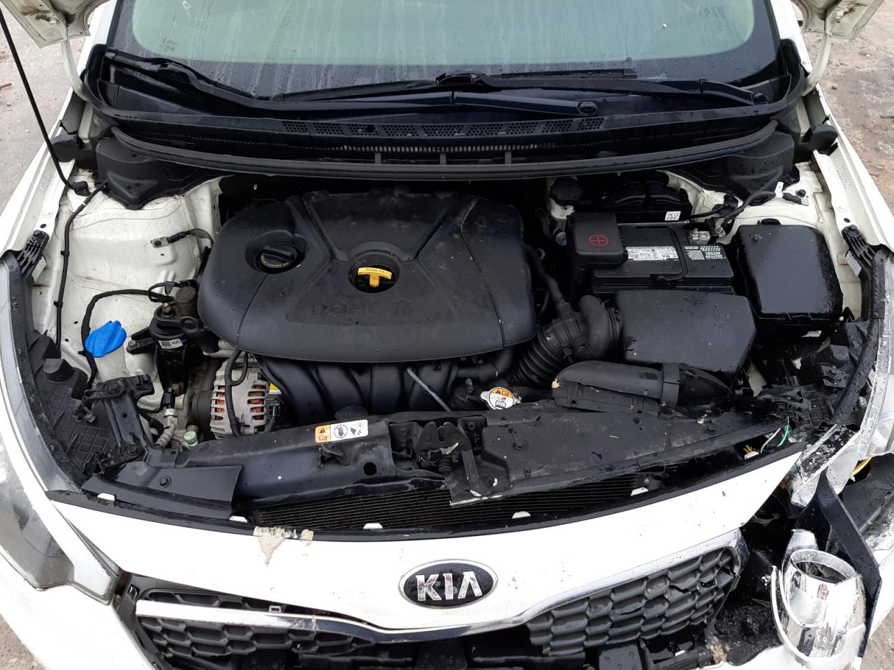 2015 Kia Forte Lx VIN: KNAFX4A65F5378999 Lot: 81836803