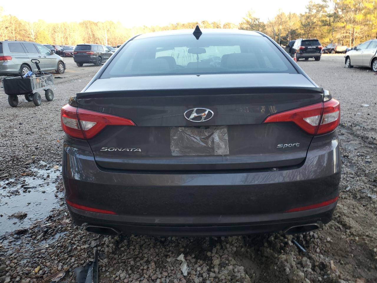 5NPE34AF1GH429037 2016 Hyundai Sonata Sport