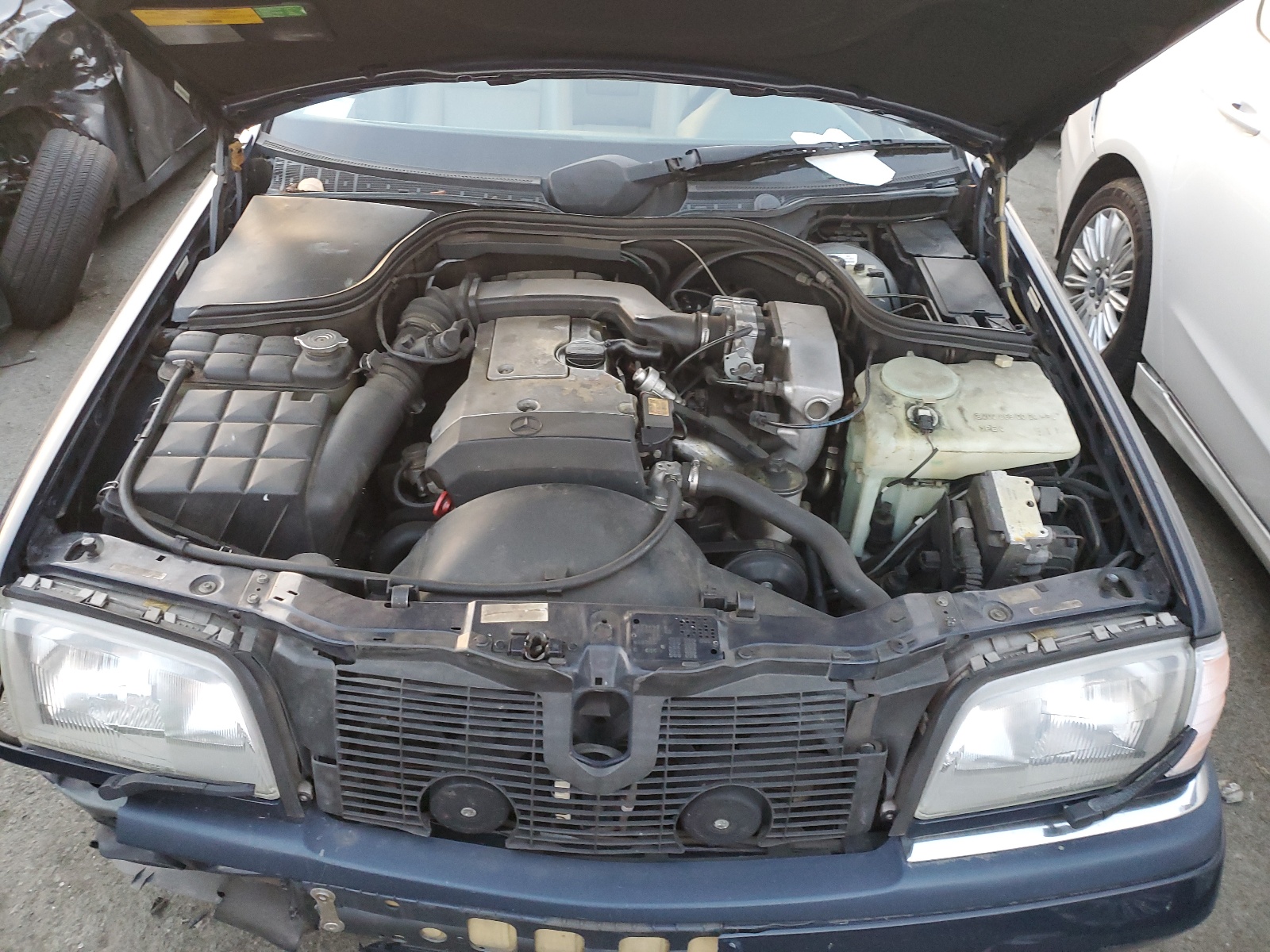 WDBHA22E4SF166136 1995 Mercedes-Benz C 220