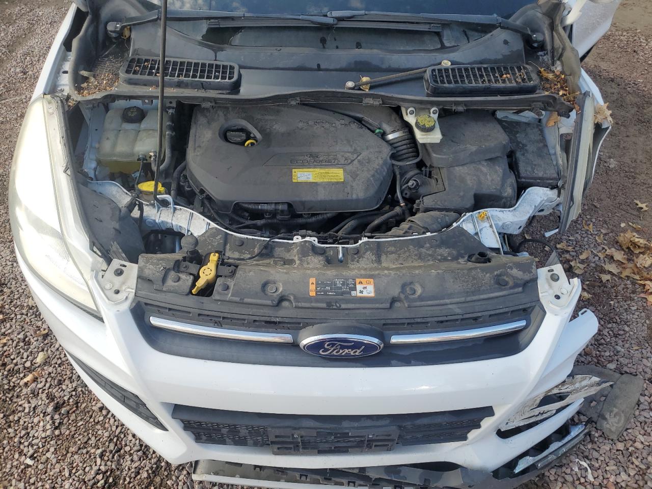 2014 Ford Escape Se VIN: 1FMCU9GX2EUA51150 Lot: 49154534