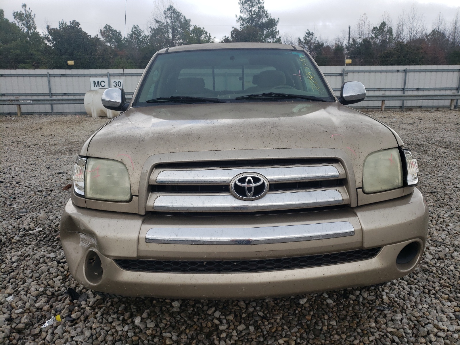 5TBRN34183S365162 2003 Toyota Tundra Access Cab Sr5