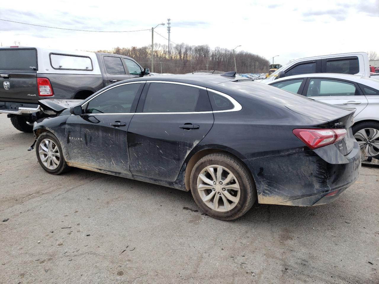 2019 Chevrolet Malibu Lt VIN: 1G1ZD5ST6KF131667 Lot: 81972783