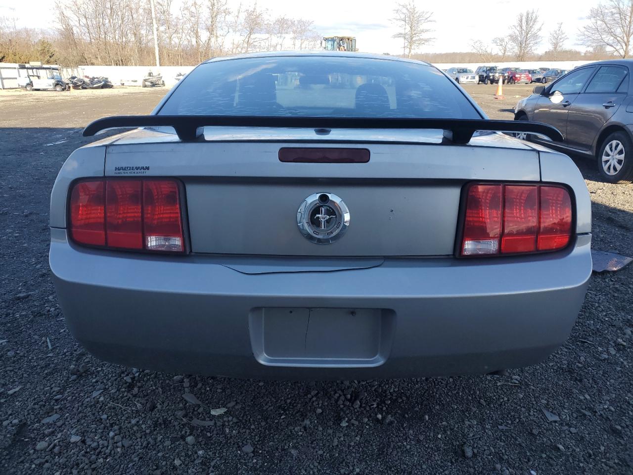 2009 Ford Mustang VIN: 1ZVHT80N295104846 Lot: 81233143