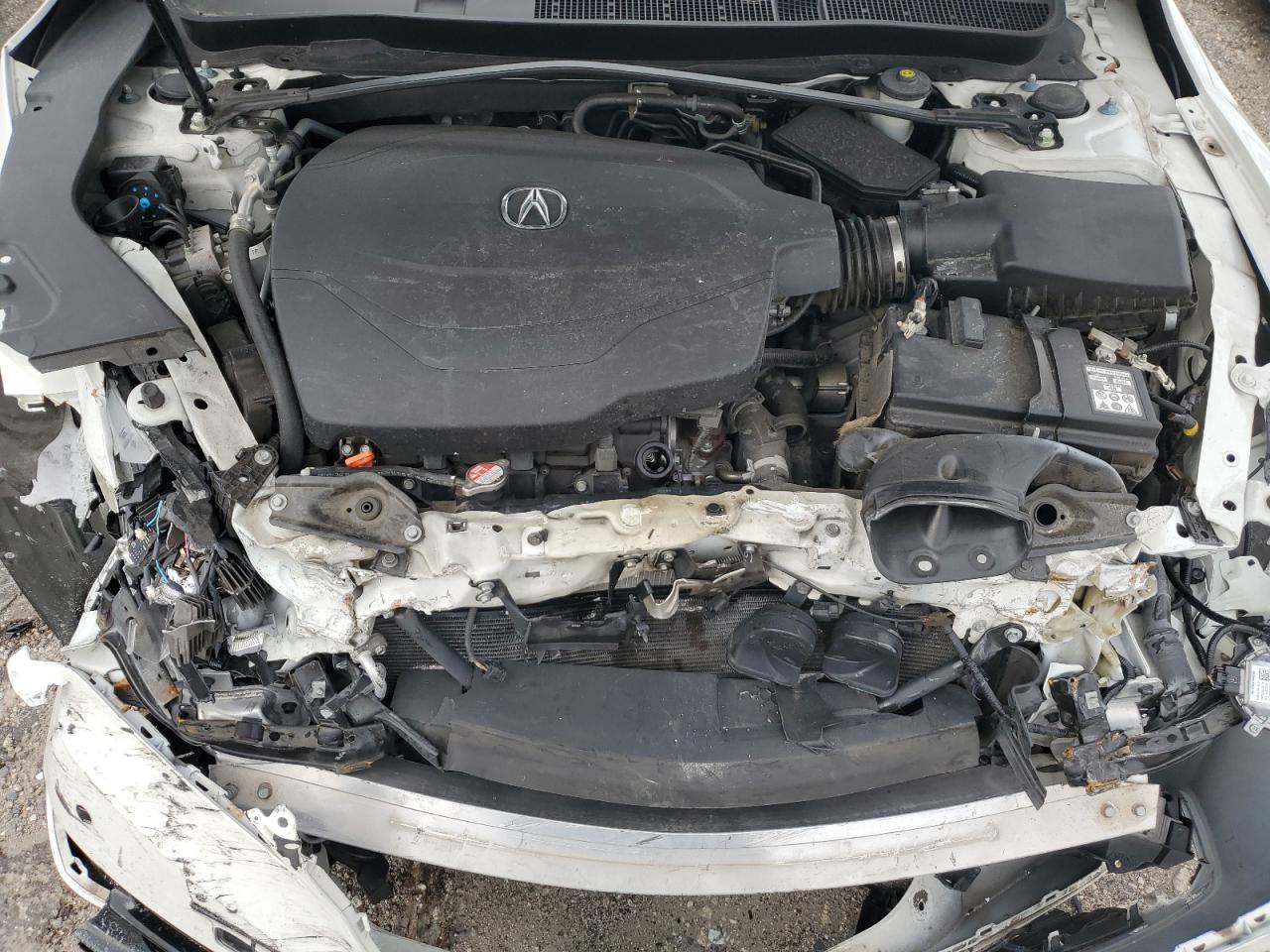 2015 Acura Tlx Advance VIN: 19UUB3F77FA009574 Lot: 78251193