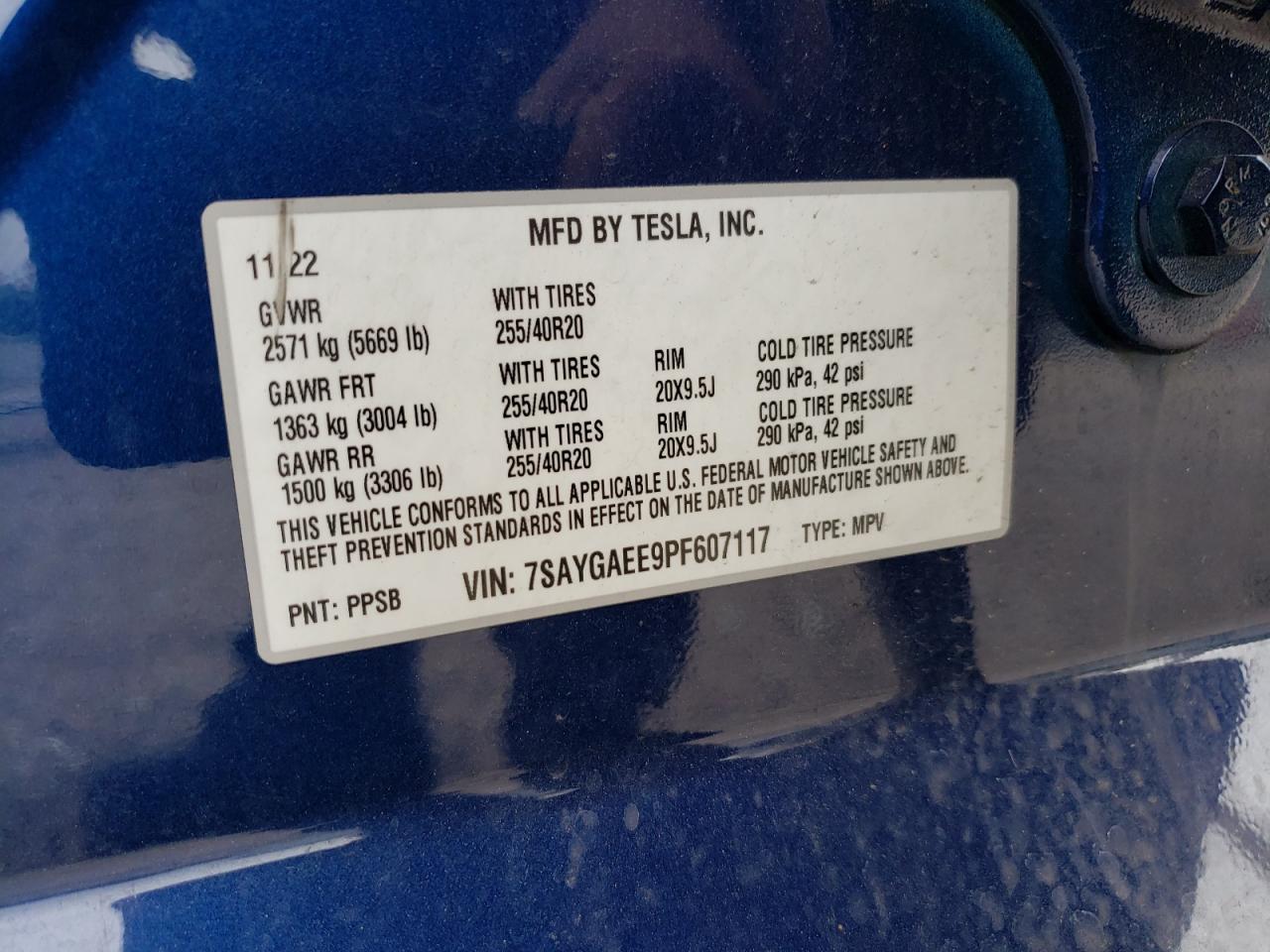 2023 Tesla Model Y VIN: 7SAYGAEE9PF607117 Lot: 81387353