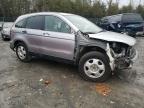 Waldorf, MD에서 판매 중인 2008 Honda Cr-V Lx   - Front End