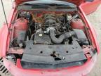 2007 Ford Mustang  продається в Gaston, SC - Front End