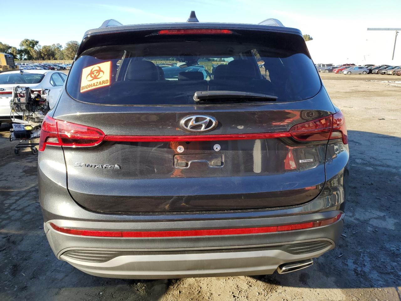 2023 Hyundai Santa Fe Sel VIN: 5NMS2DAJ5PH539399 Lot: 79945383