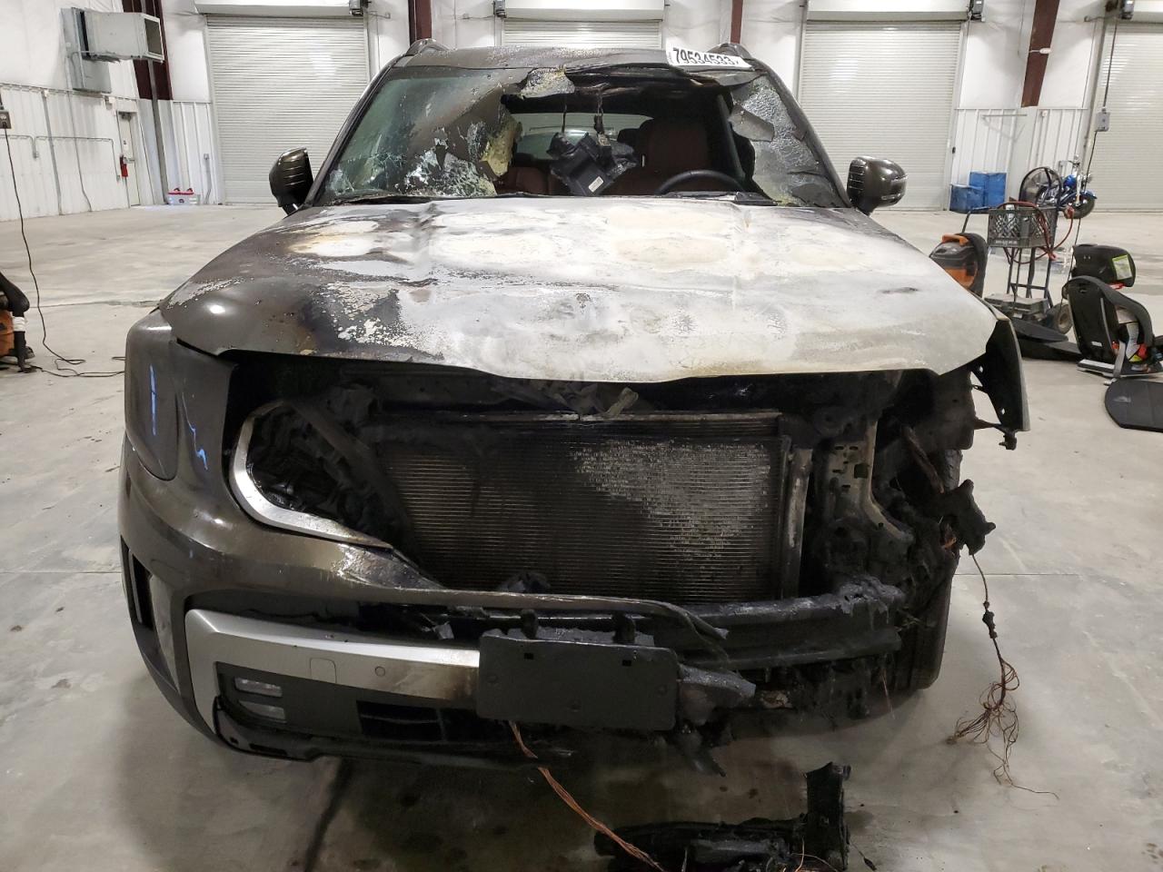 2023 Kia Telluride Sx VIN: 5XYP5DGC7PG396696 Lot: 79534533