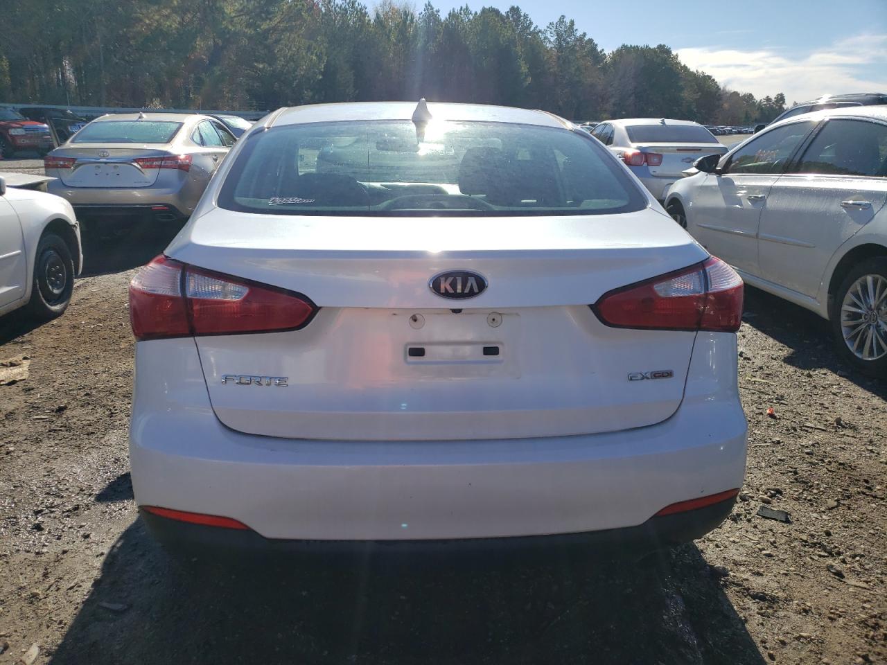 2014 Kia Forte Ex VIN: KNAFX4A81E5057204 Lot: 81313153