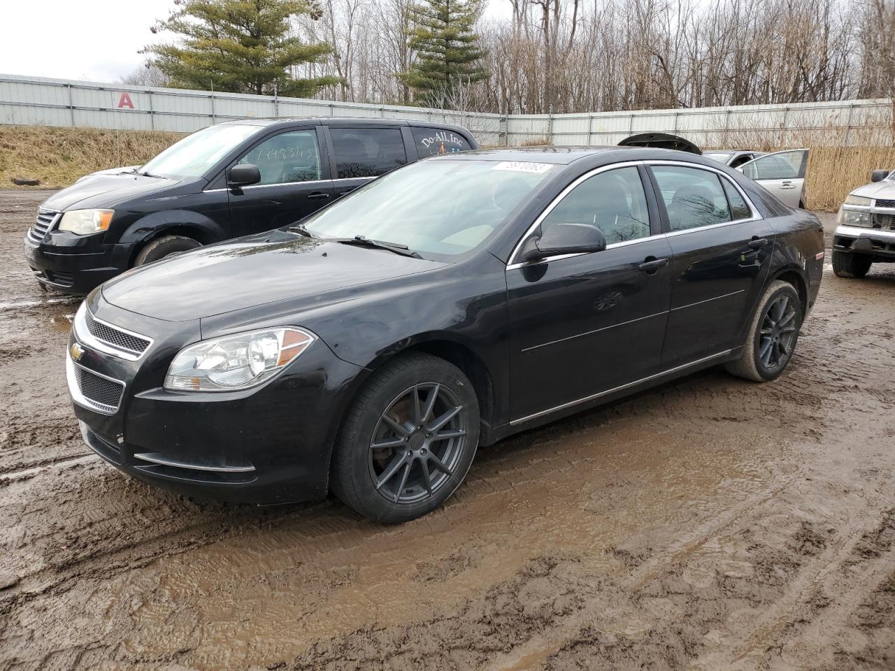 2011 Chevrolet Malibu 1Lt zu verkaufen in Davison, MI - Hail