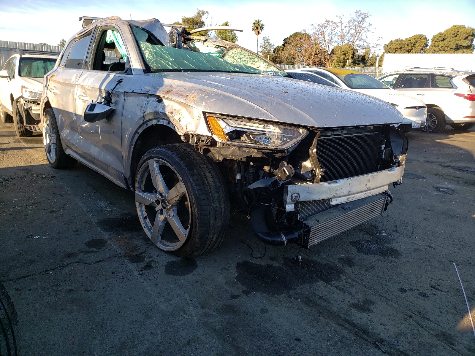 WA1B4AFY6M2041589 2021 Audi Sq5 Premium Plus