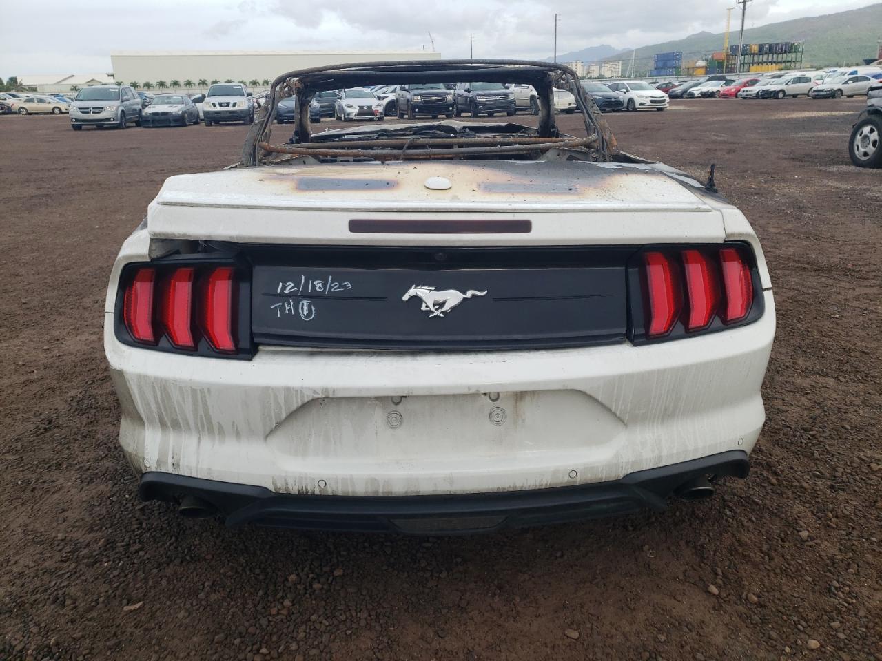 2020 Ford Mustang VIN: 1FATP8UH2L5134299 Lot: 81432593