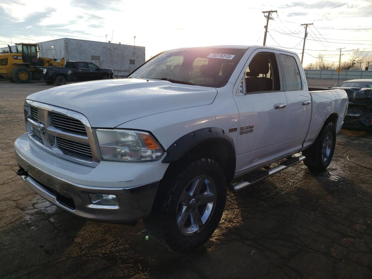 2011 Dodge Ram 1500 VIN: 1D7RV1GT2BS553650 Lot: 79315313