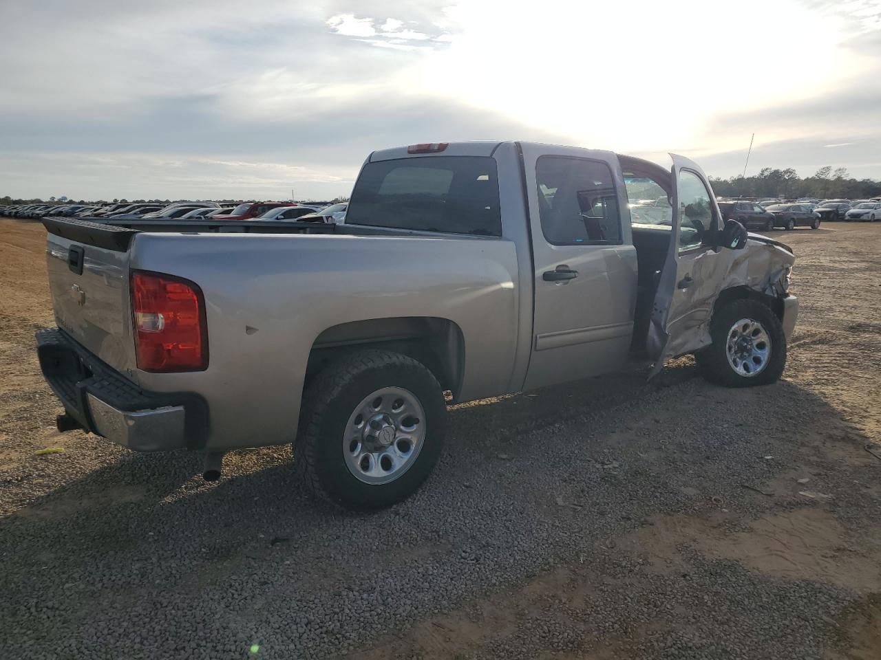 2009 Chevrolet Silverado C1500 VIN: 3GCEC13C29G113515 Lot: 55557804