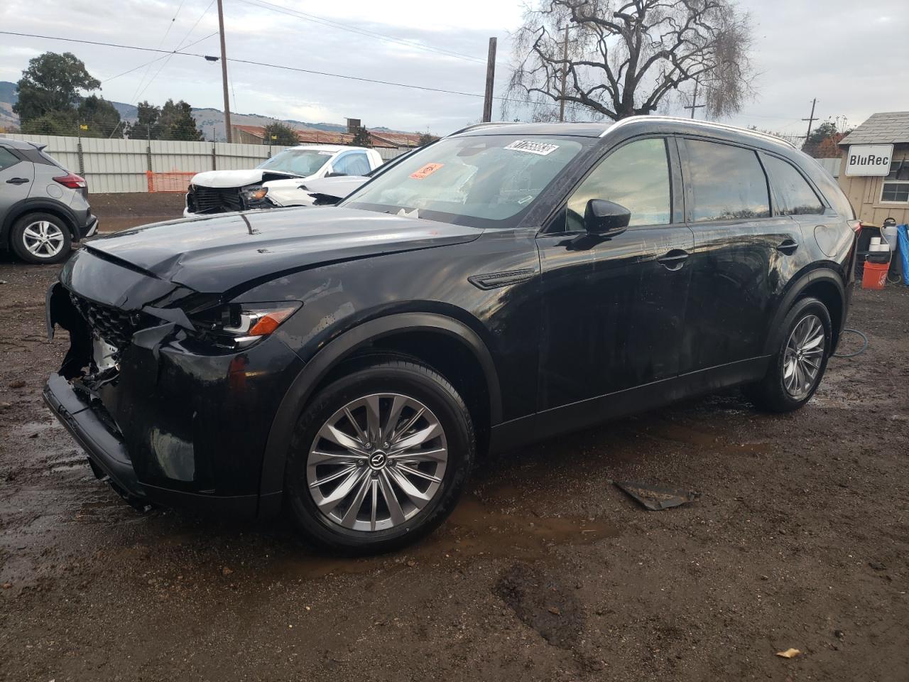 2024 Mazda Cx-90 Select VIN: JM3KKAHD9R1120183 Lot: 81755883