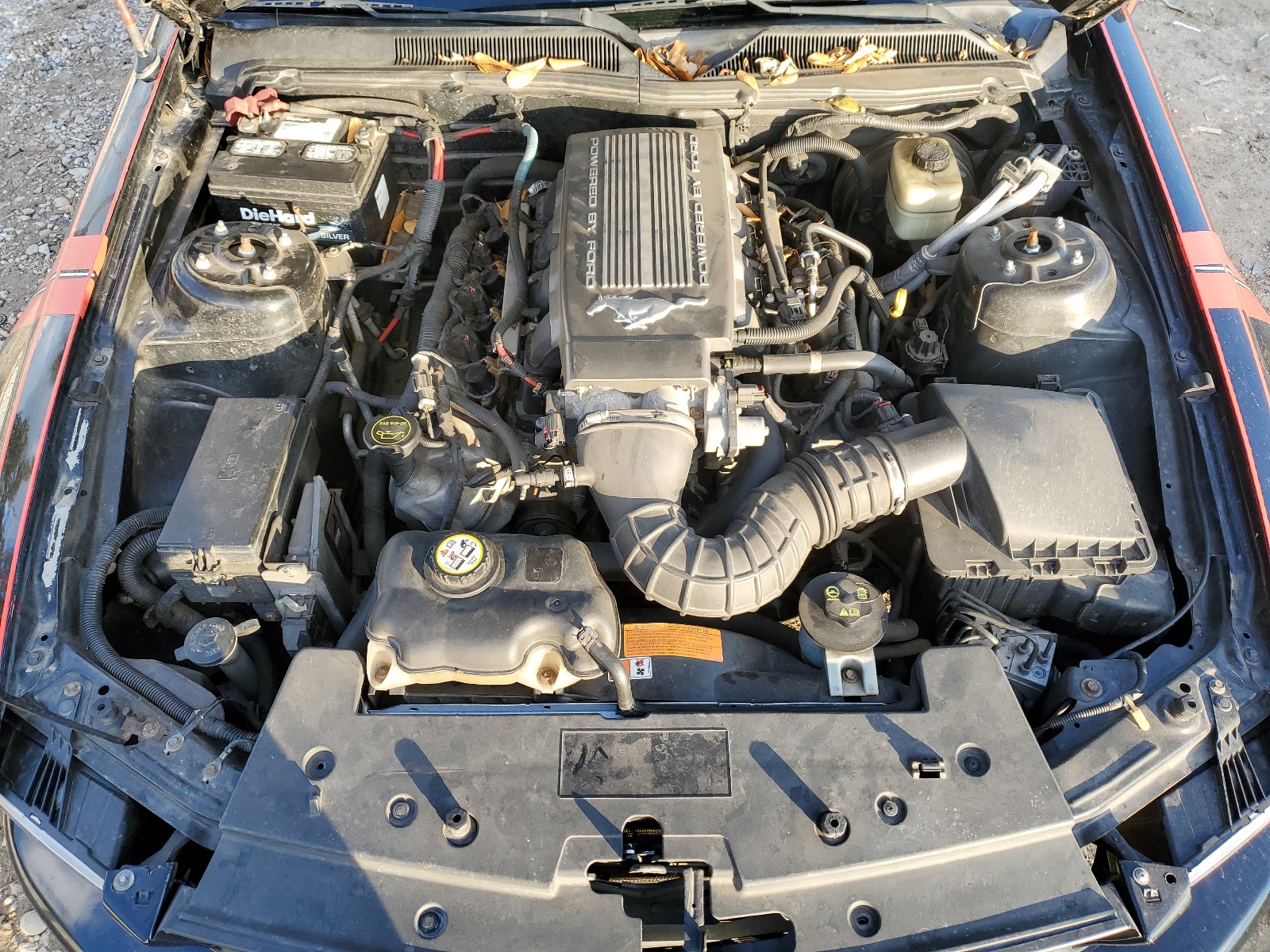 1ZVHT82H675235072 2007 Ford Mustang Gt