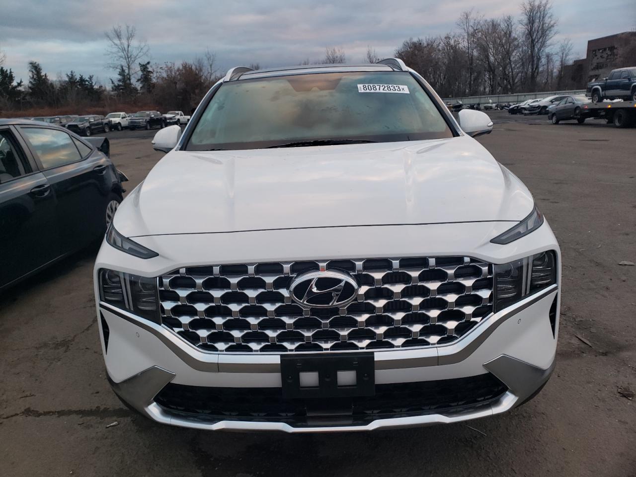 2022 Hyundai Santa Fe Limited VIN: 5NMS4DAL4NH415813 Lot: 80872833