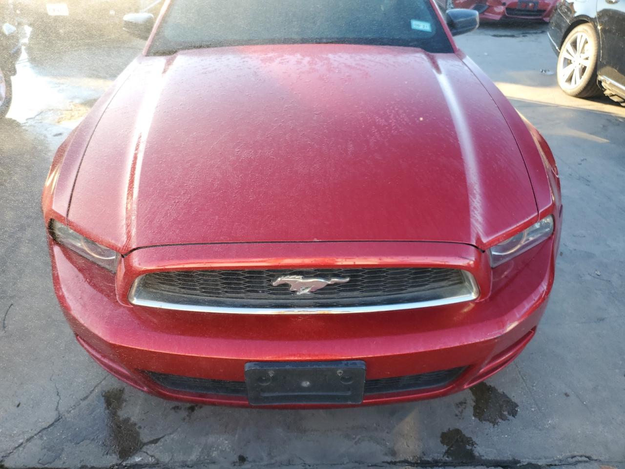 2013 Ford Mustang VIN: 1ZVBP8AM2D5281843 Lot: 70750344