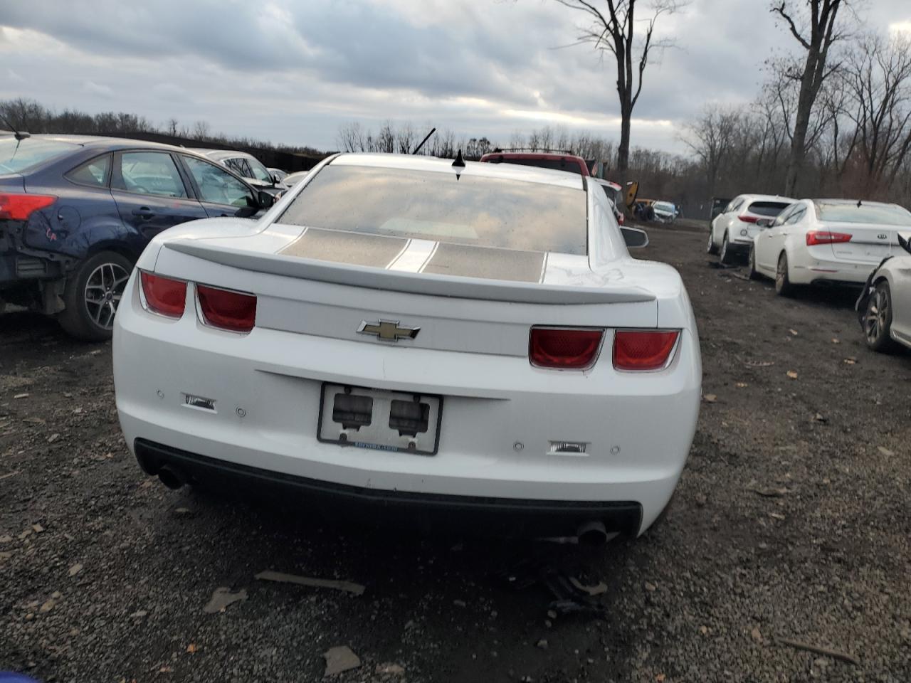 2010 Chevrolet Camaro Lt VIN: 2G1FF1EV8A9203124 Lot: 78855803