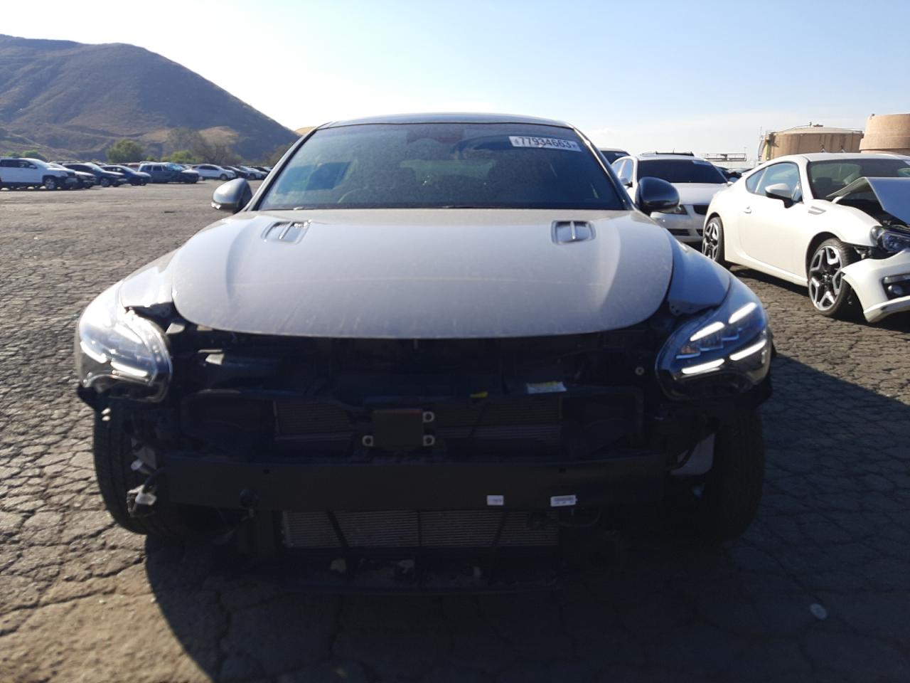 2023 Kia Stinger Gt Line VIN: KNAE35LDXP6136620 Lot: 77934663
