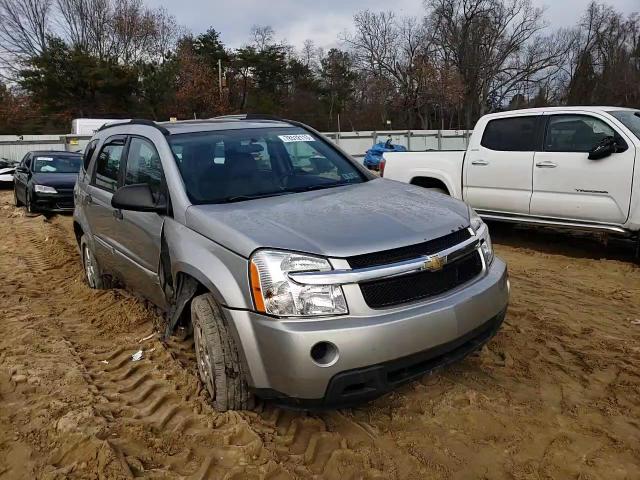 2007 Chevrolet Equinox Ls VIN: 2CNDL23F976234316 Lot: 59588384