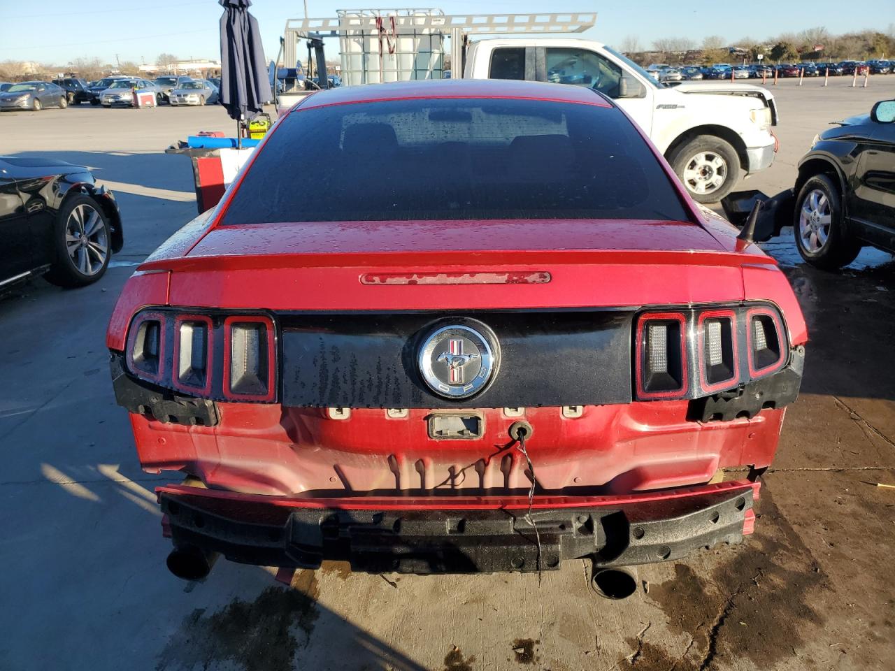 2013 Ford Mustang VIN: 1ZVBP8AM2D5281843 Lot: 70750344