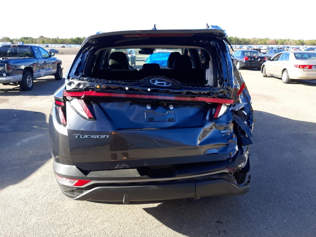 2023 Hyundai Tucson Sel VIN: 5NMJFCAE1PH280164 Lot: 81038253