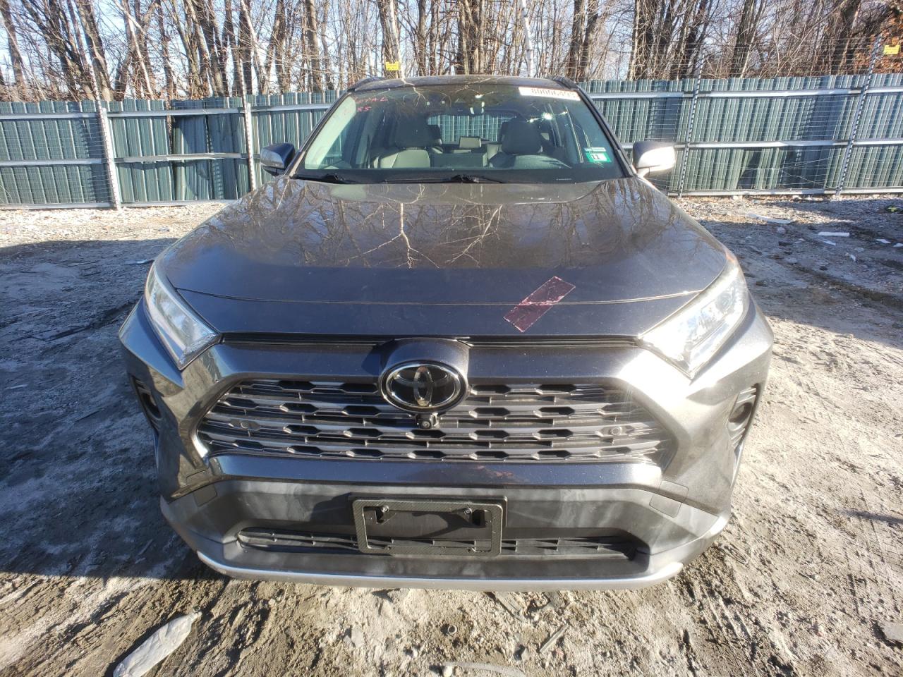 2019 Toyota Rav4 Limited VIN: JTMN1RFV0KD517546 Lot: 80006493