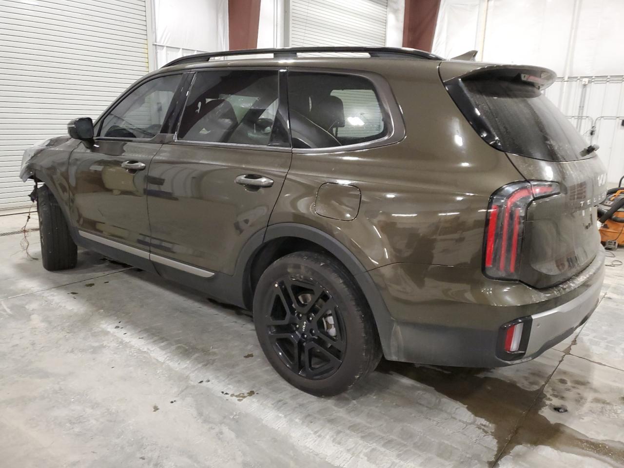 2023 Kia Telluride Sx VIN: 5XYP5DGC7PG396696 Lot: 79534533