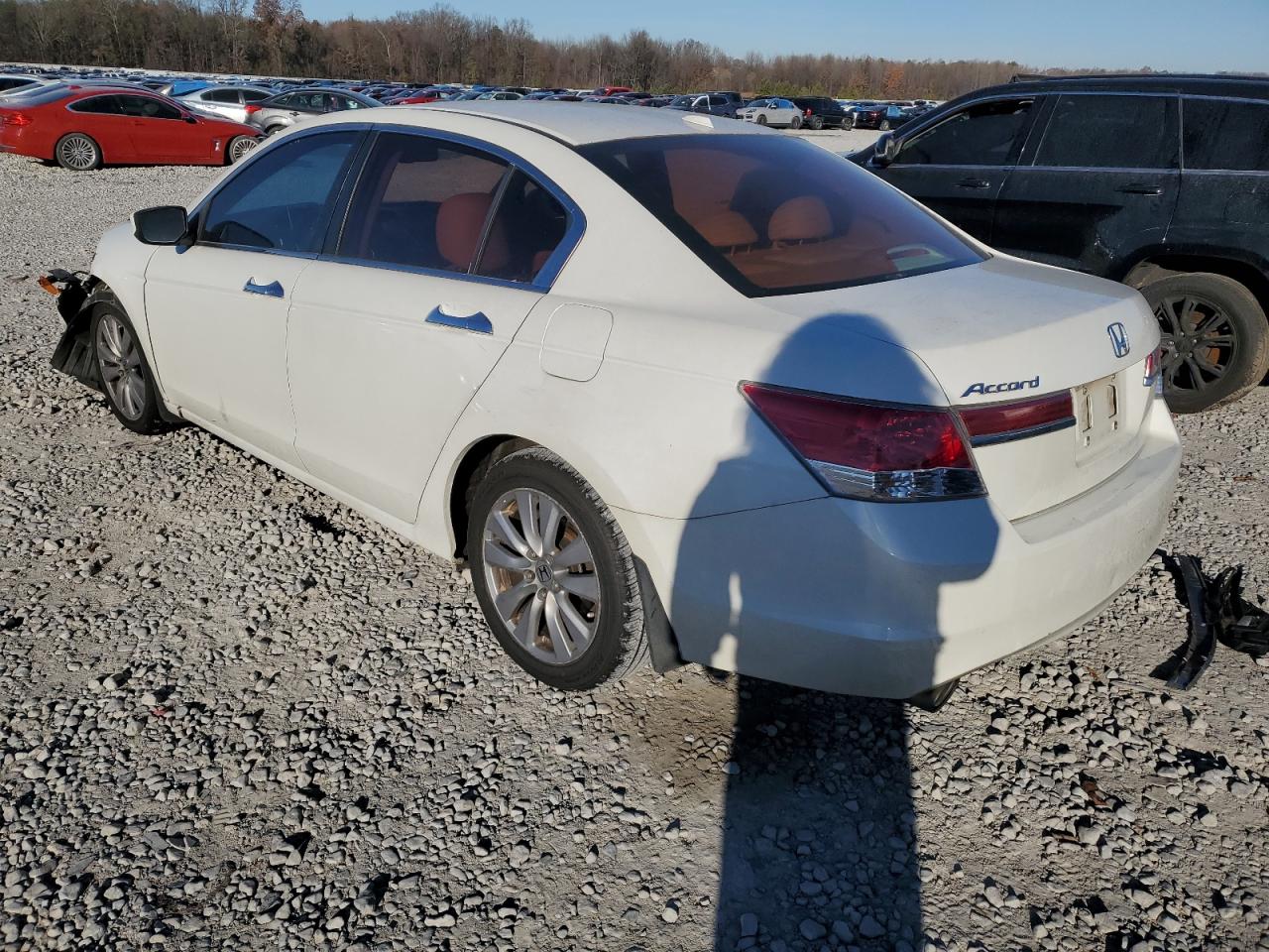 2011 Honda Accord Exl VIN: 5KBCP3F86BB002431 Lot: 80895153