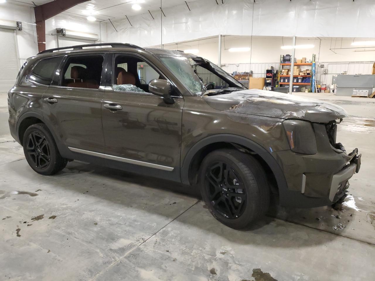 2023 Kia Telluride Sx VIN: 5XYP5DGC7PG396696 Lot: 79534533