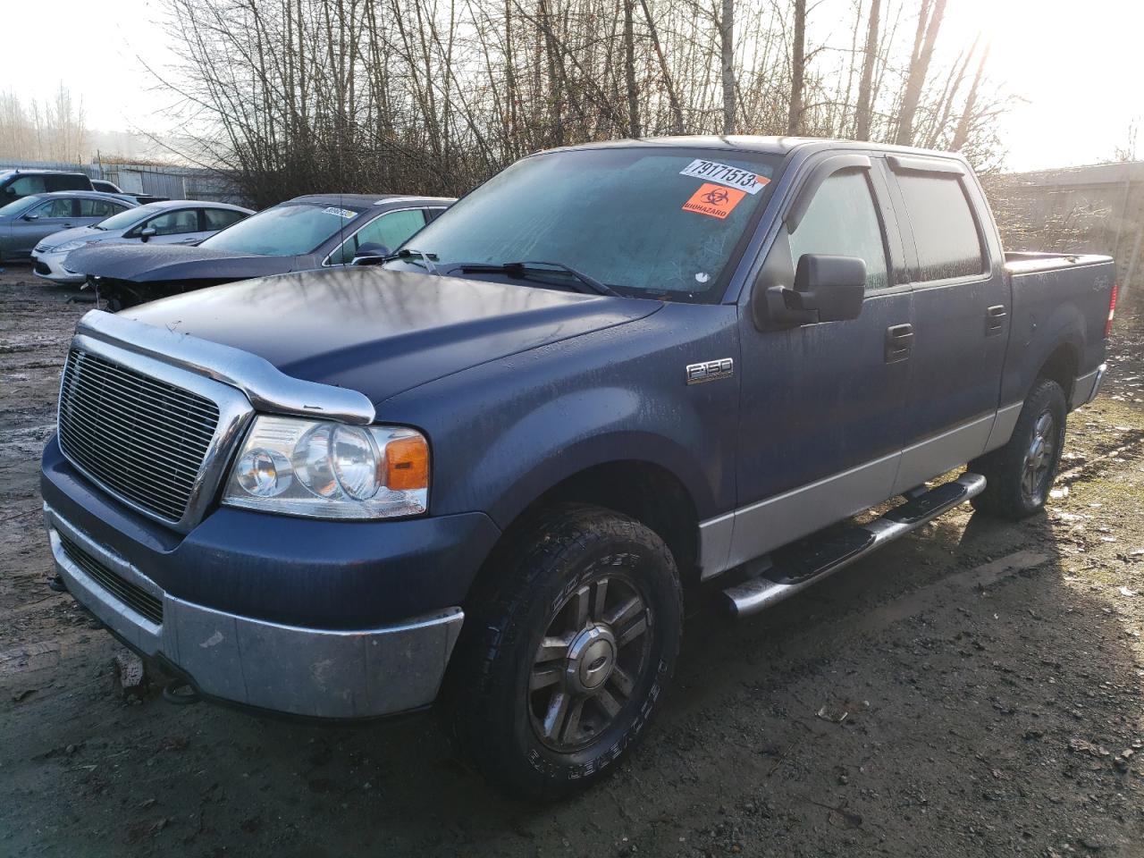 2006 Ford F150 Supercrew VIN: 1FTPW14V06FB65397 Lot: 79171513